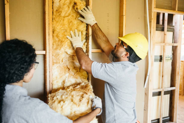 Best Local Insulation Services  in Oakland, SC